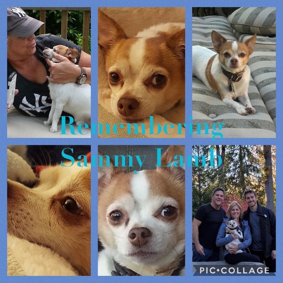 🌸🌷Happy 2024 Everyone! Thank you for the follows! 💕 - Picture 10 of 16